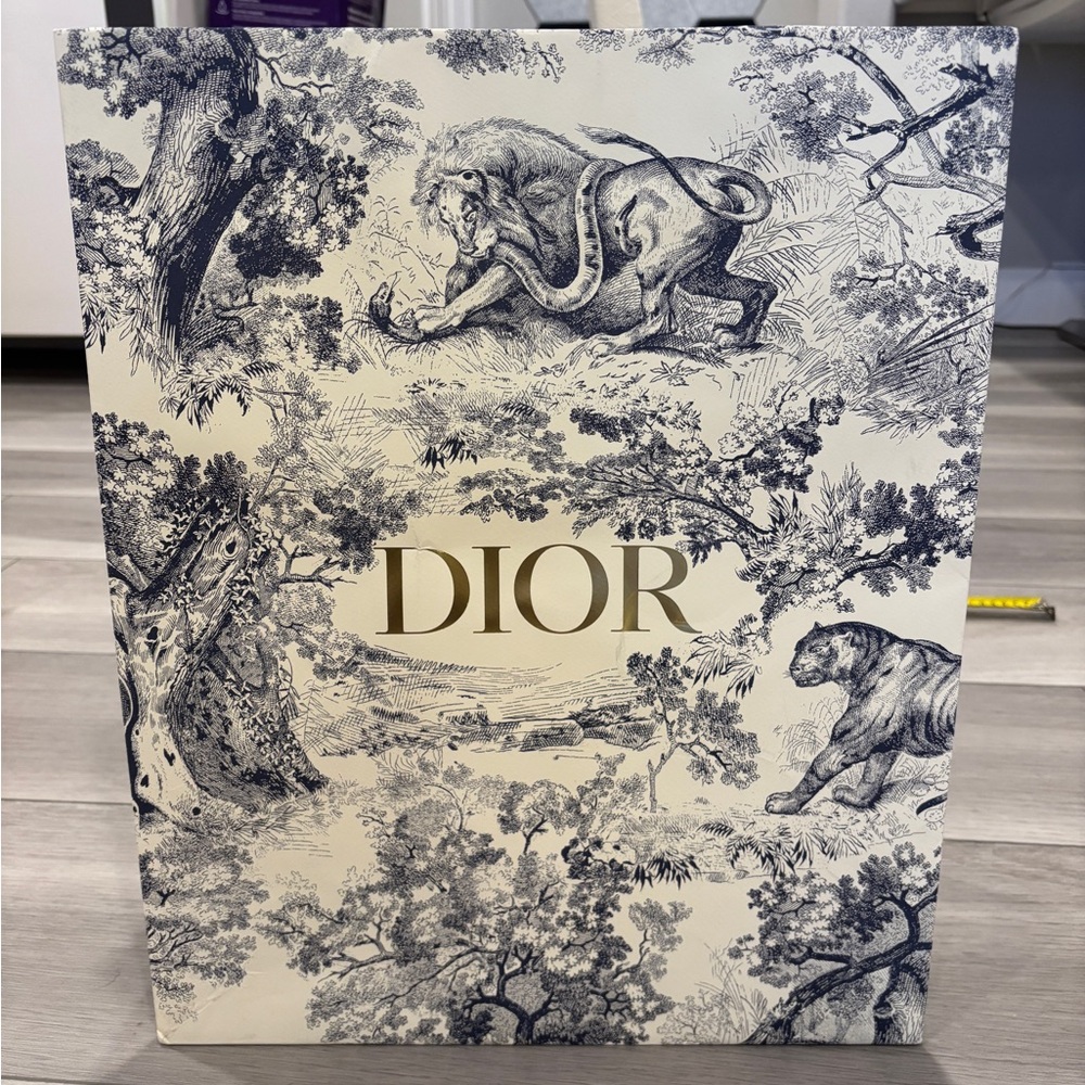 Dior empty paper gift bag shopping tote